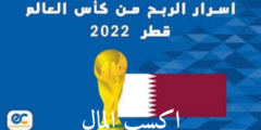 اكسب المال من مونديال كأس العالم في قطر افضل طريقة الربح من الانترنت 2022
